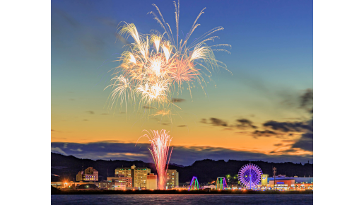 <Web割対象商品>【キングツアーバス旅】冬の清水港 花火観賞ナイトクルーズ♪〔聖蹟桜ヶ丘・多摩センター発〕1